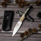 443-AF Asta de toro pulida + Funda